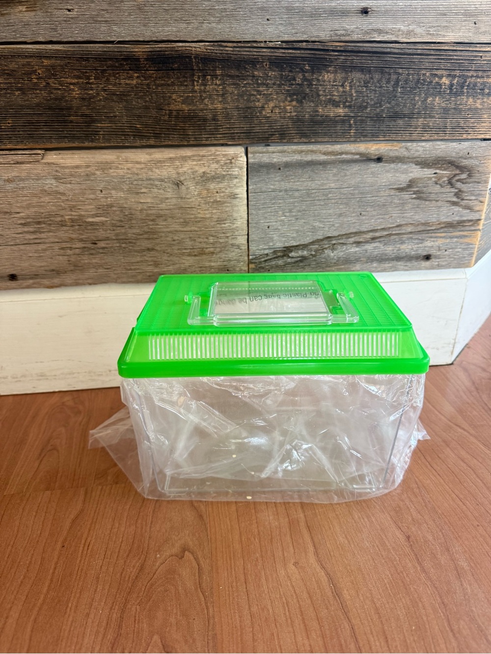 Green Plastic Bug Catcher Cage Container with Venting Lid